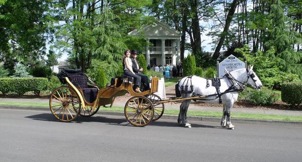 Amazing Carriage Company 